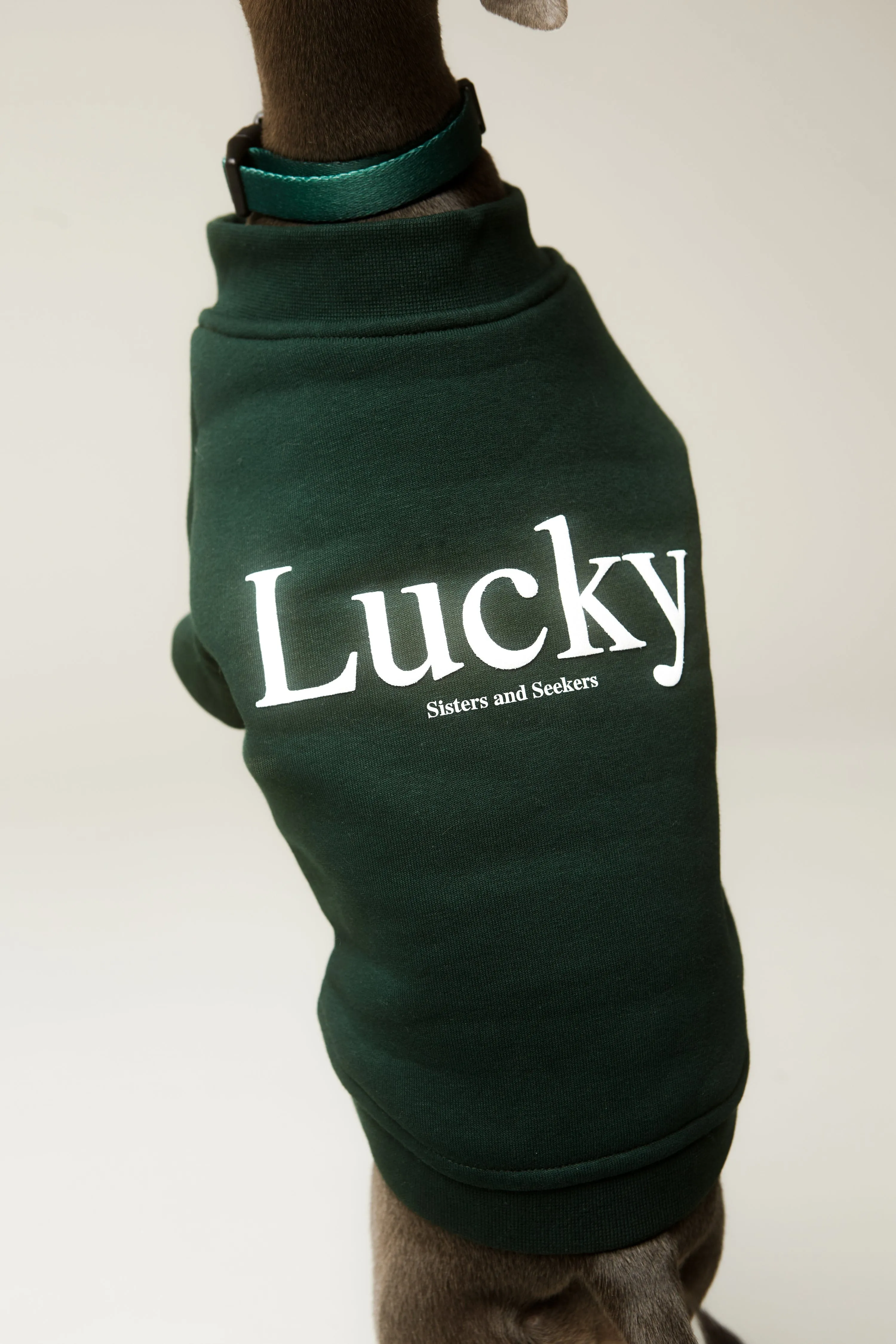 LUCKY Doggie Sweatshirt