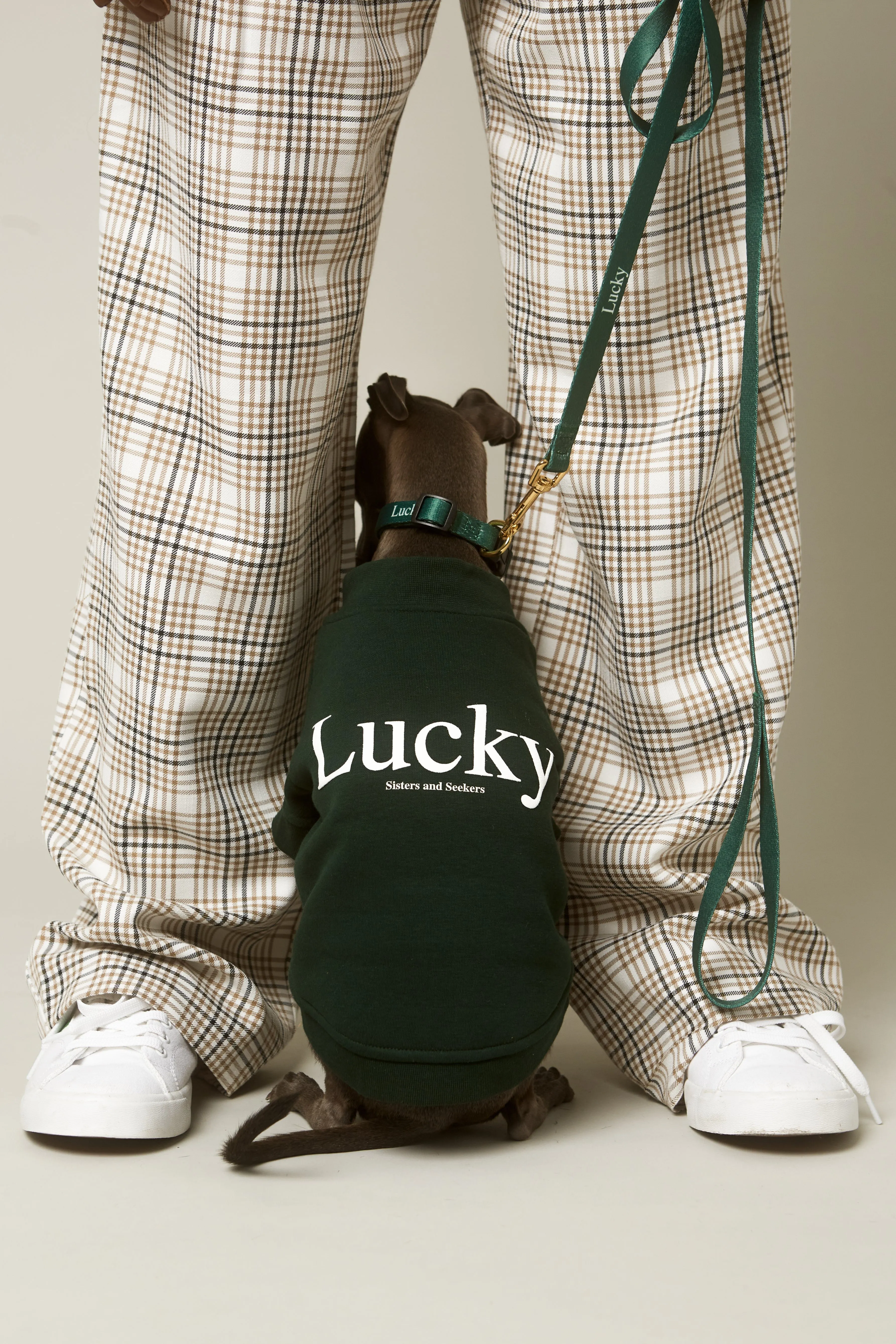 LUCKY Doggie Sweatshirt