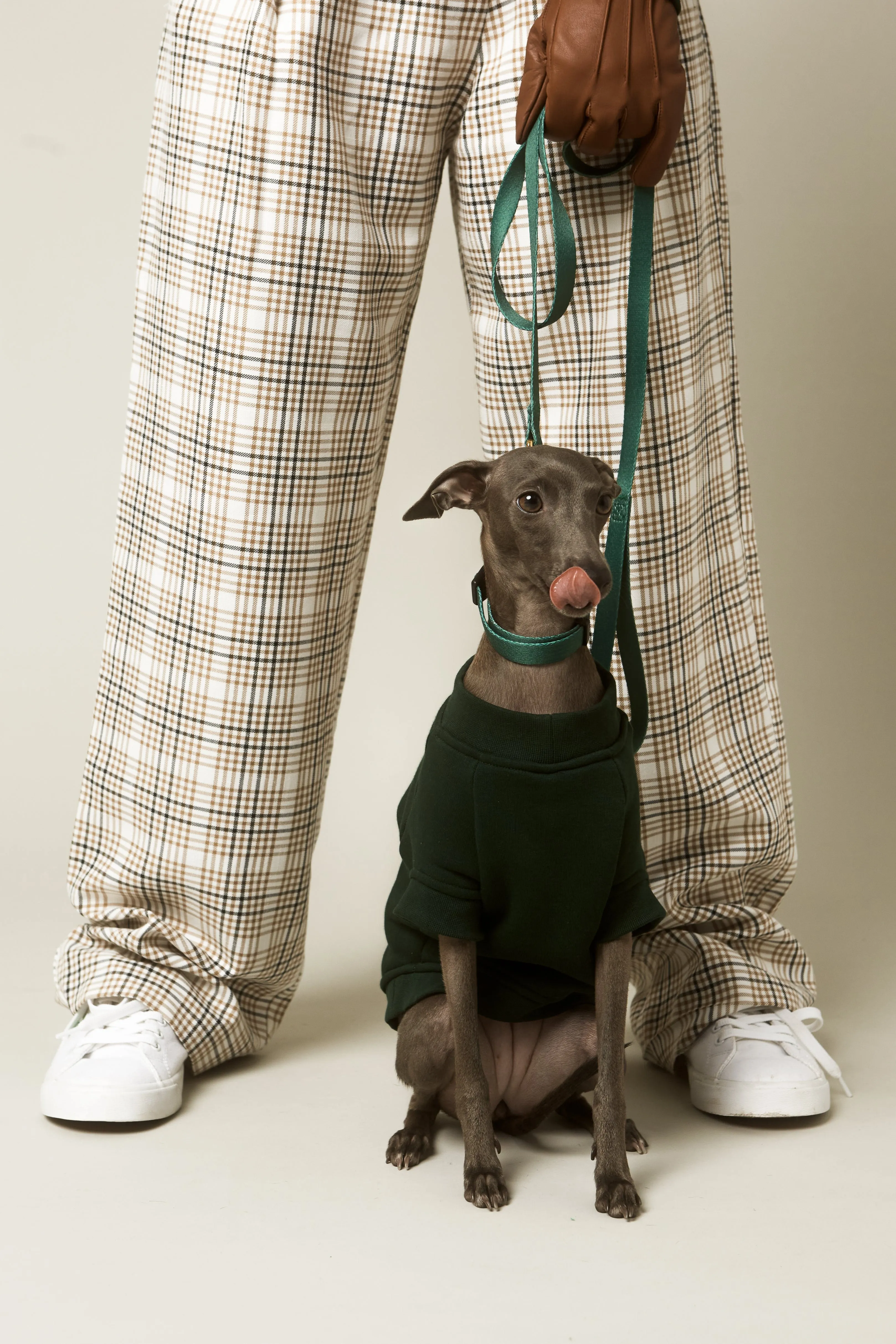 LUCKY Doggie Sweatshirt