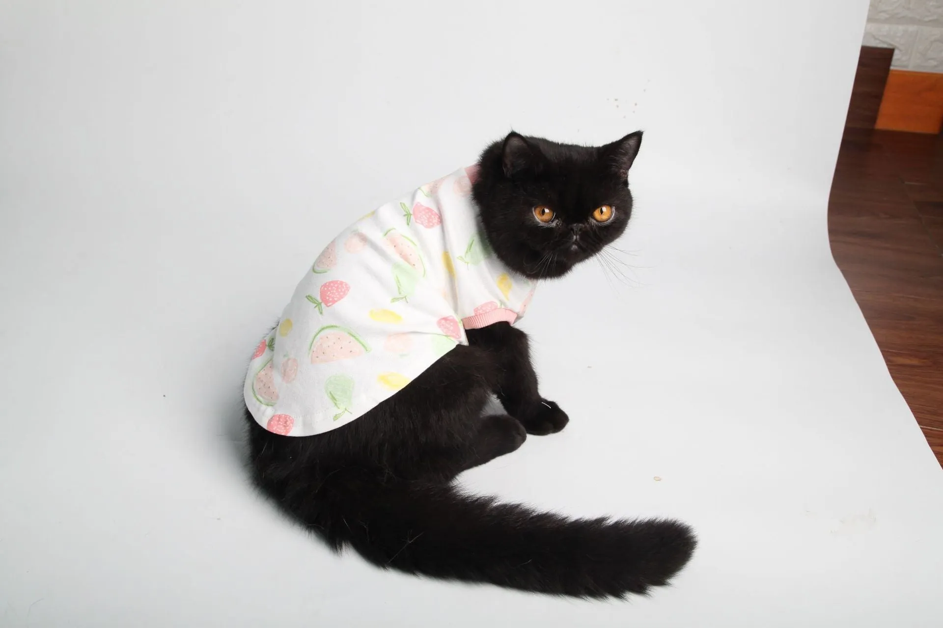 Pet Clothes Cat Clothes Printed Cat Clothes Homewear Cat T-shirt