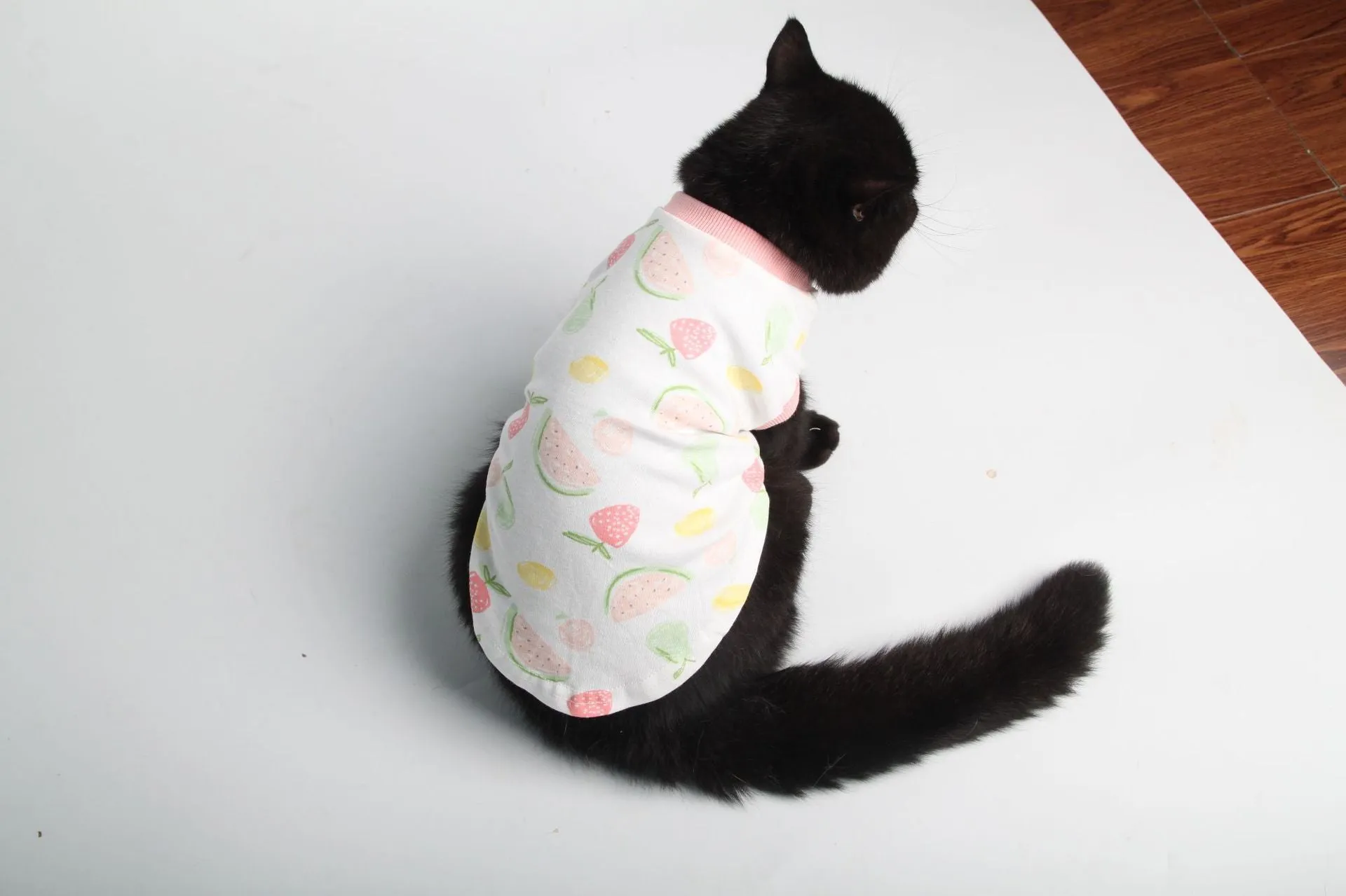 Pet Clothes Cat Clothes Printed Cat Clothes Homewear Cat T-shirt