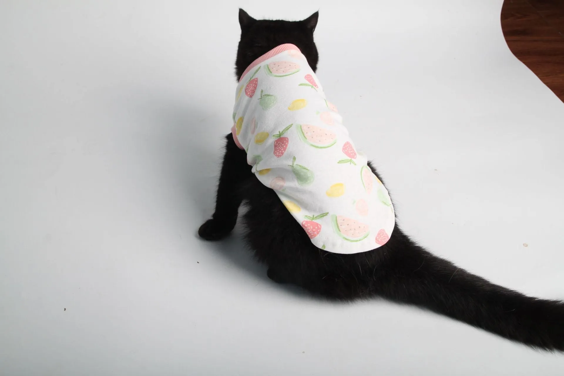 Pet Clothes Cat Clothes Printed Cat Clothes Homewear Cat T-shirt