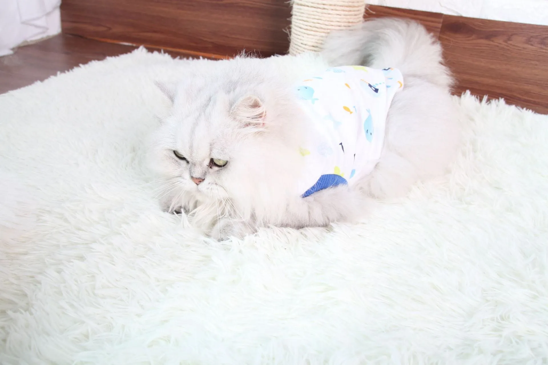 Pet Clothes Cat Clothes Printed Cat Clothes Homewear Cat T-shirt