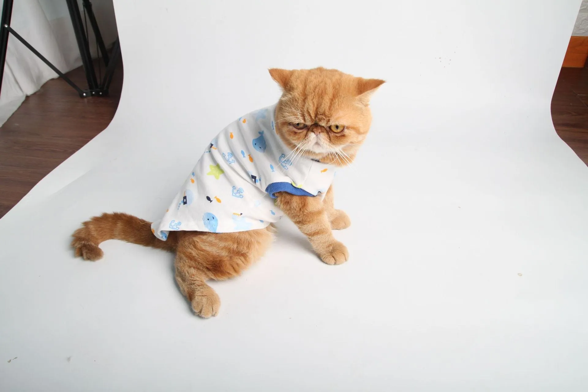 Pet Clothes Cat Clothes Printed Cat Clothes Homewear Cat T-shirt