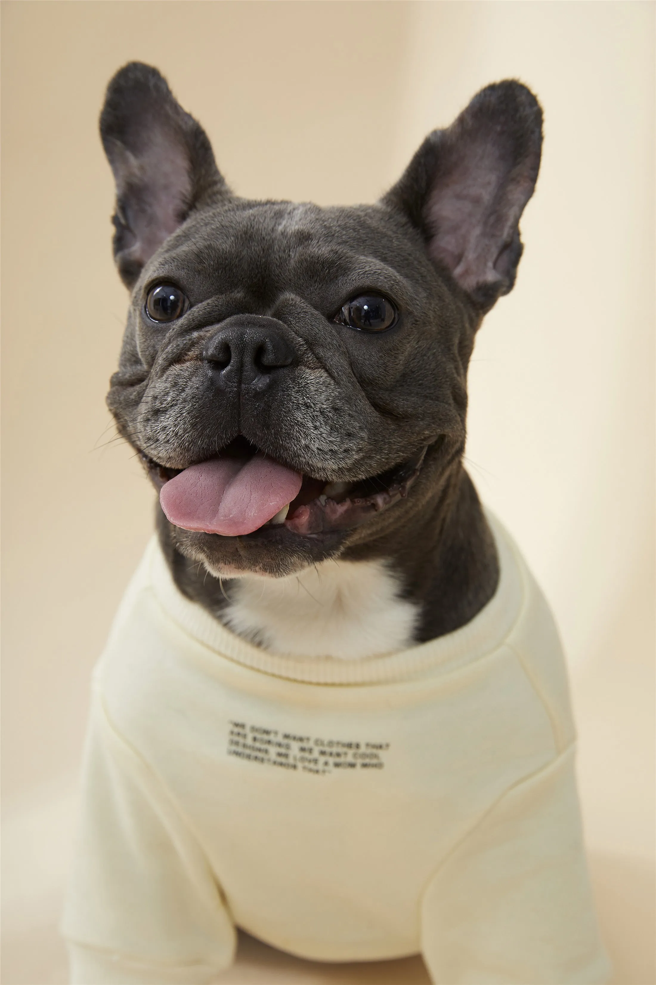 Sweatshirt with Slogan