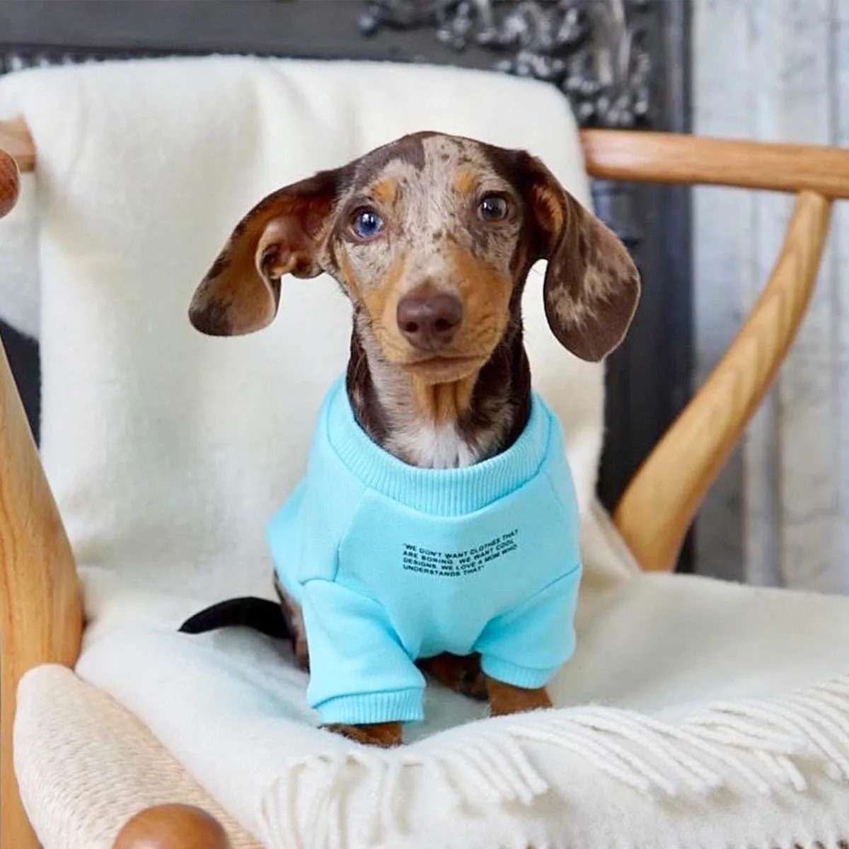 Sweatshirt with Slogan